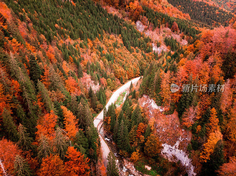 Topdown aerial view of country road winding through autumn forest